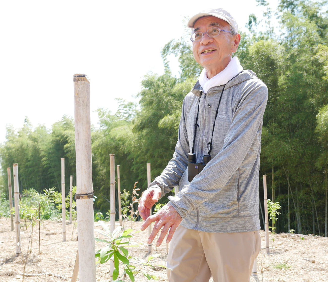 Two reasons why shinjiro torii chose shimamoto osaka as the