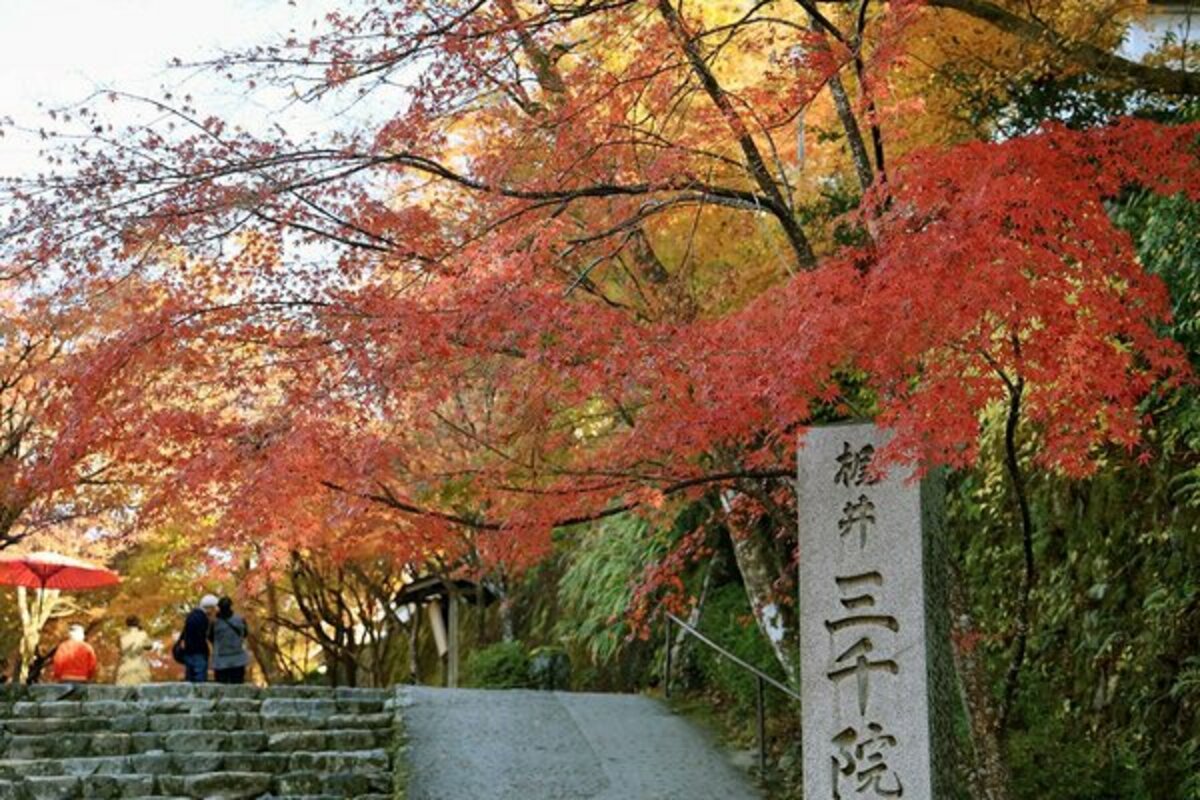 https://kyoto-np-global.ismcdn.jp/mwimgs/4/4/1200w/img_44b7456551bce1eca6c94fe7b1a79561110802.jpg