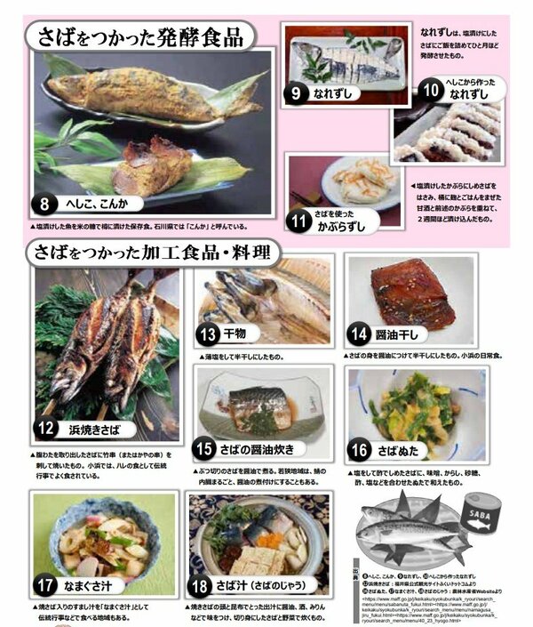 What is the delicious way to eat mackerel from the sea of japan? sugata